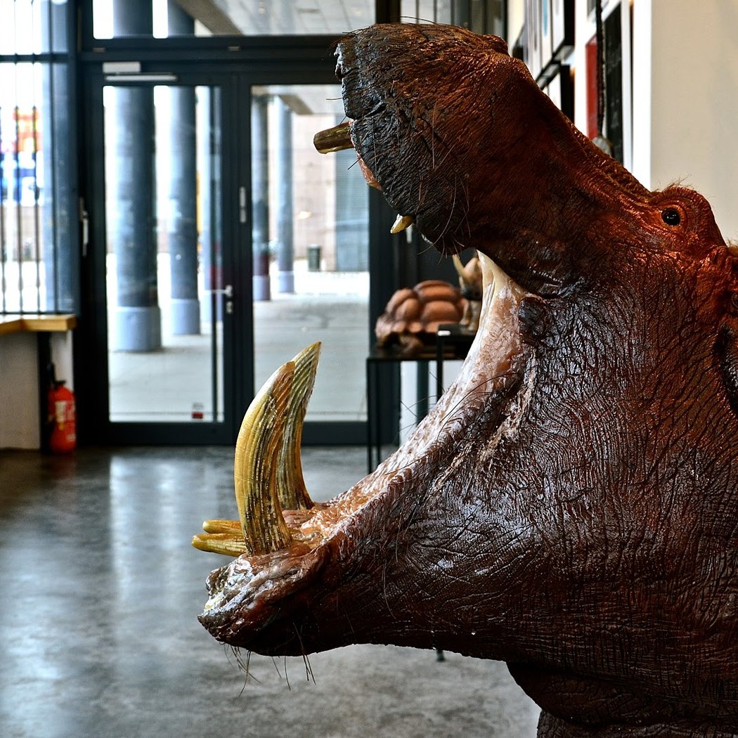 Galerie Decorde 1